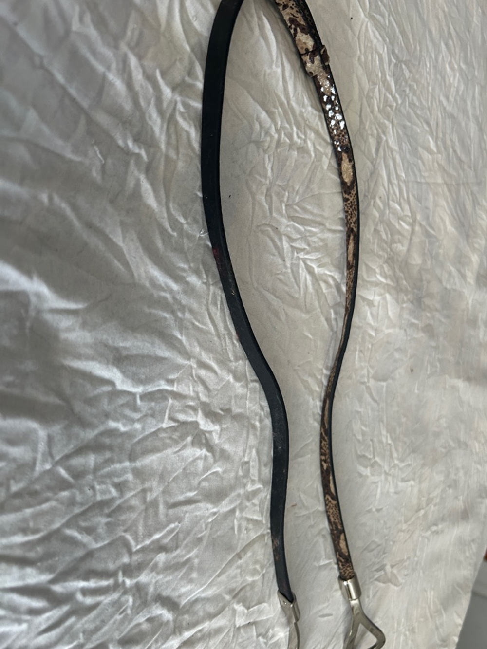 Women’s Thin Snake-Print Belt with Silver Hardware - Taupe - Picture 5 of 5